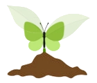 🌱